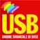 Logo USB